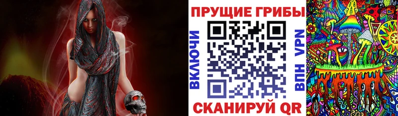 Галлюциногенные грибы Magic Shrooms  Купить закладки  Горячий Ключ 